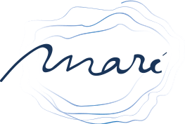 Logo Tempera