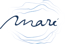 Logo Mare